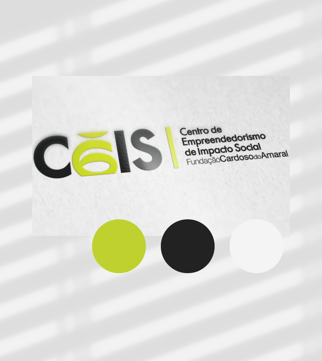 CEIS – Fundação Cardoso Amaral