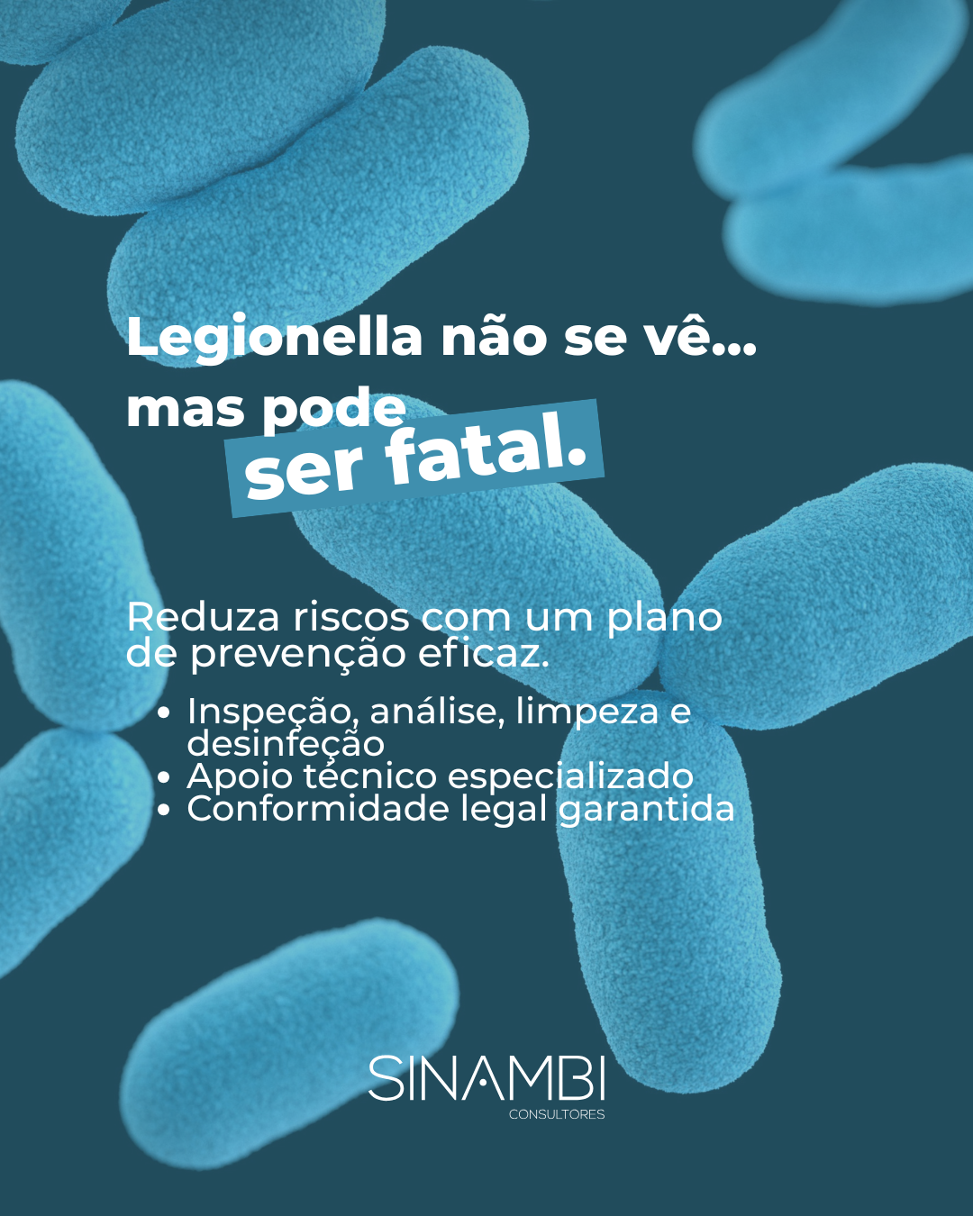 DO-SINAMBI_port-redes_07